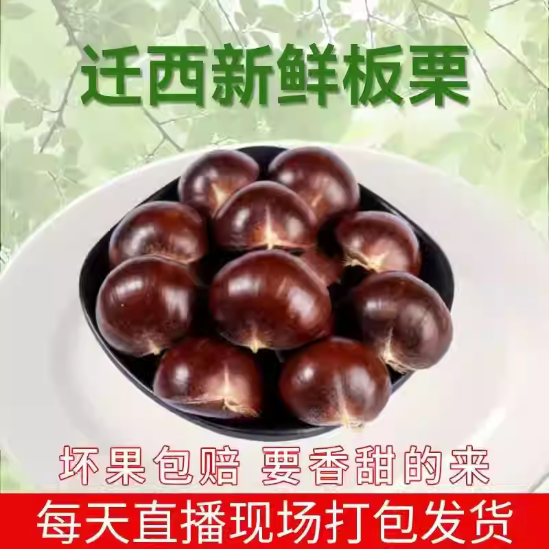 迁西板栗  板栗 2025年生 鲜栗子 遵化甘栗 河北特产板栗3斤 5斤