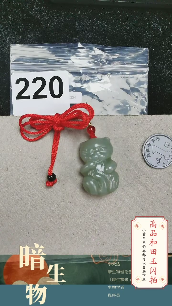 【闪购商品】和田玉吊坠(赠链)未镶嵌220
