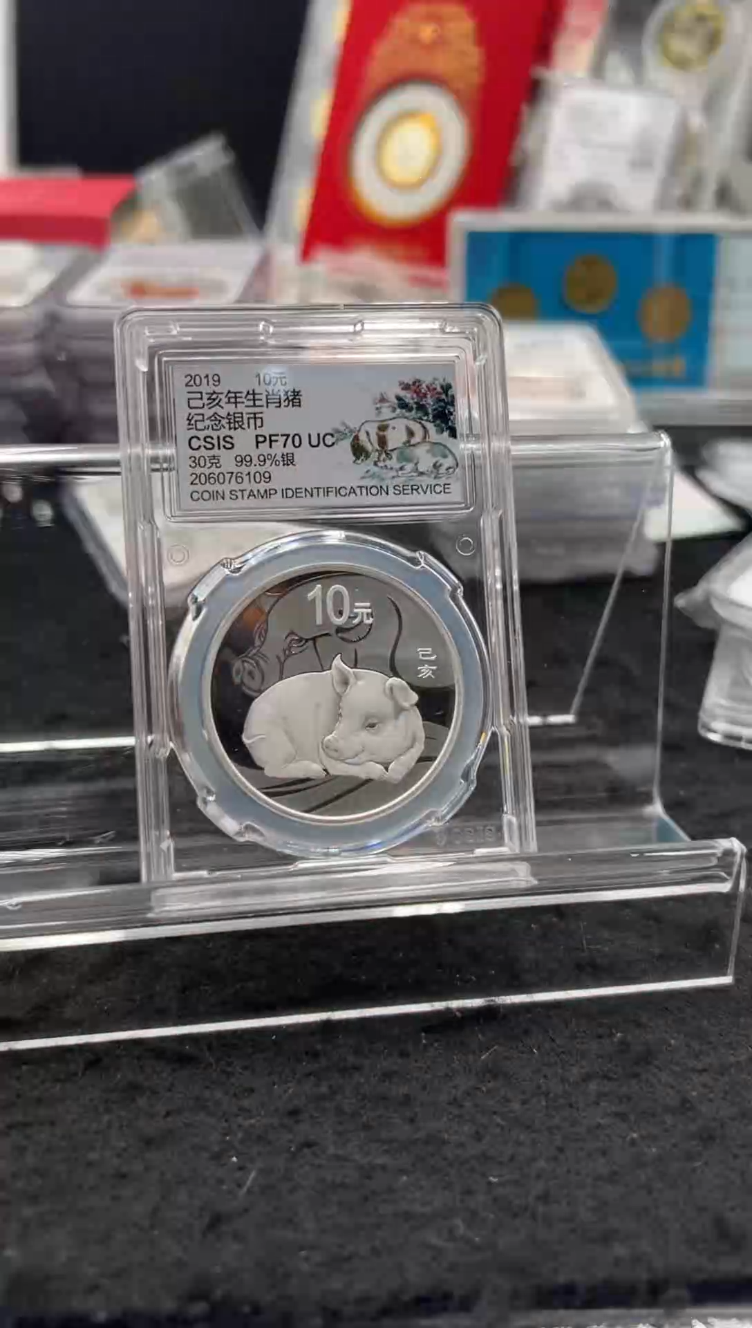 纯银2019年本银猪（无证）