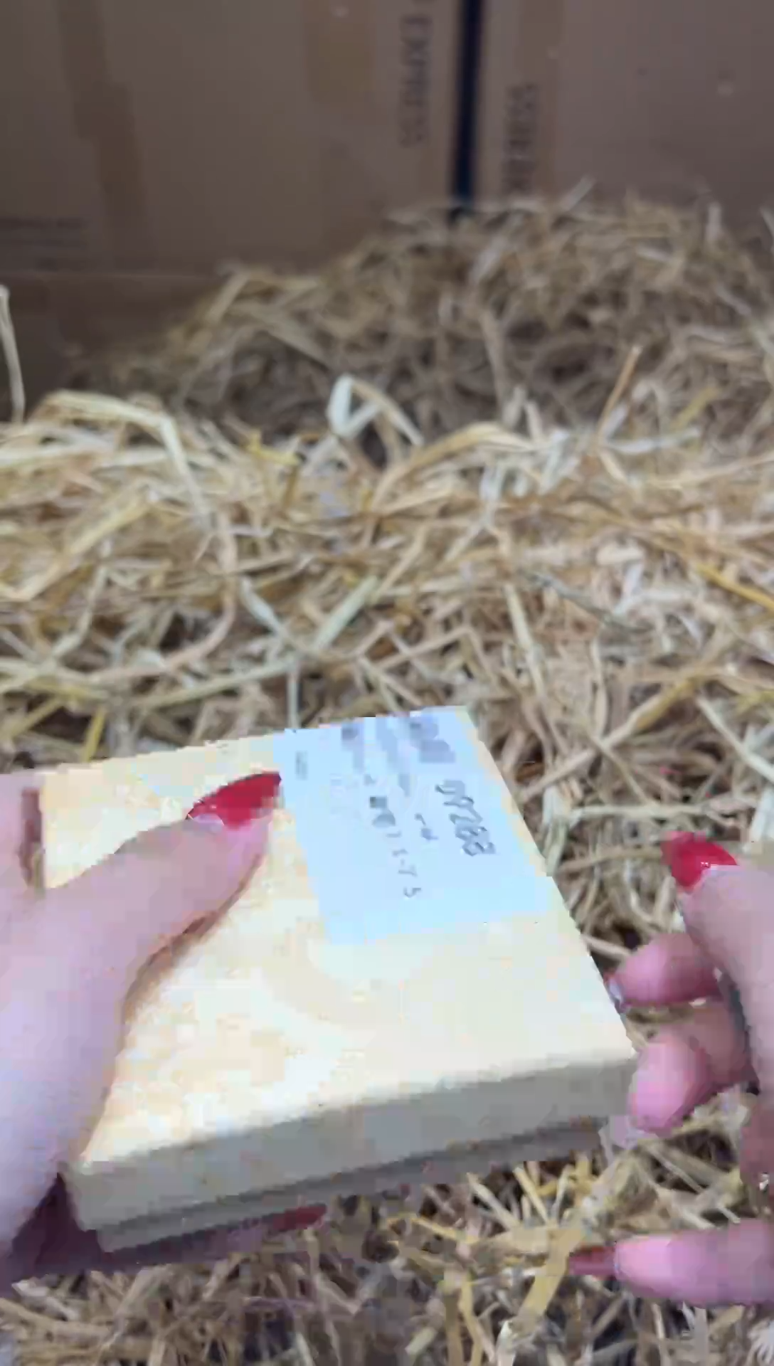 未镶嵌手镯石英质玉D9288