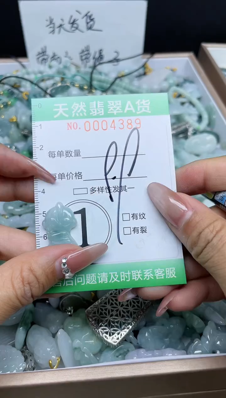 【闪购商品】翡翠颈饰未镶嵌我