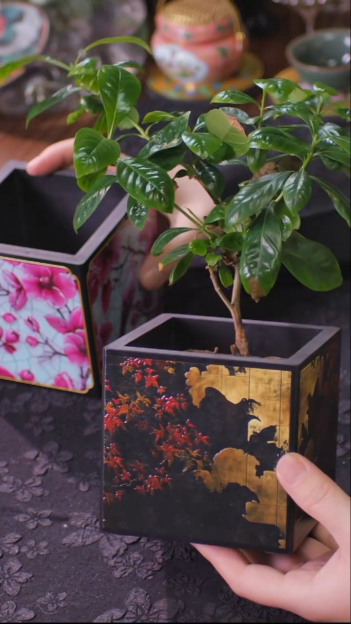 无*壹藏贰宝红枫图案小花盆加绿植