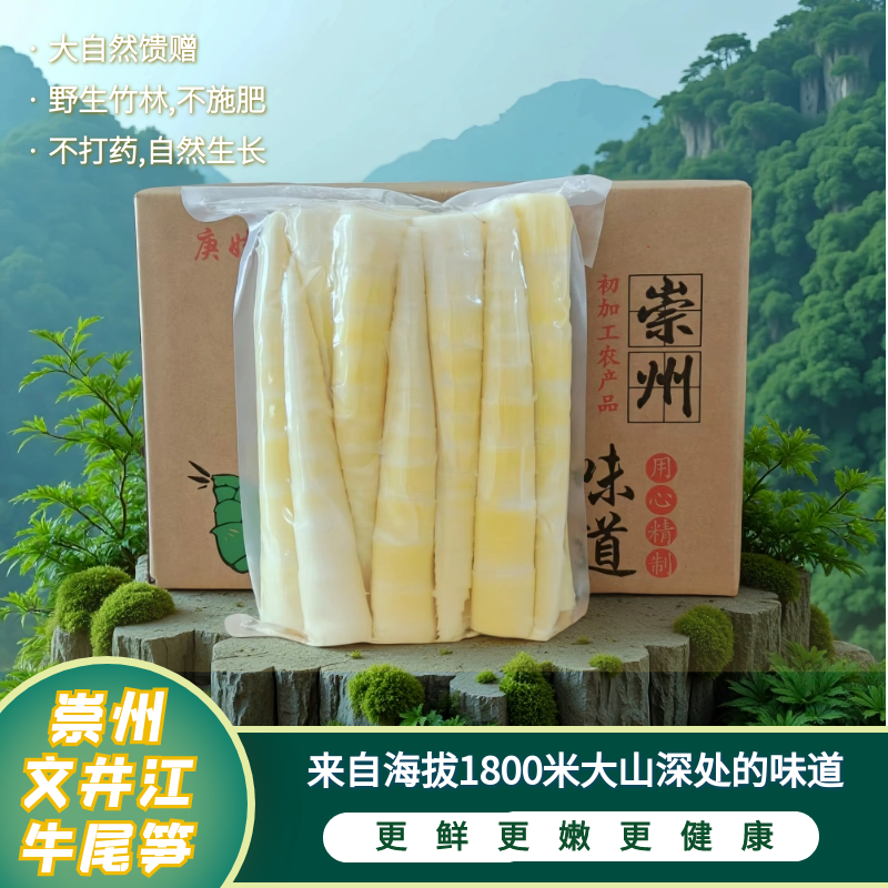 正宗文井江镇崇州牛尾笋高山竹笋天然新鲜营养美味鲜嫩