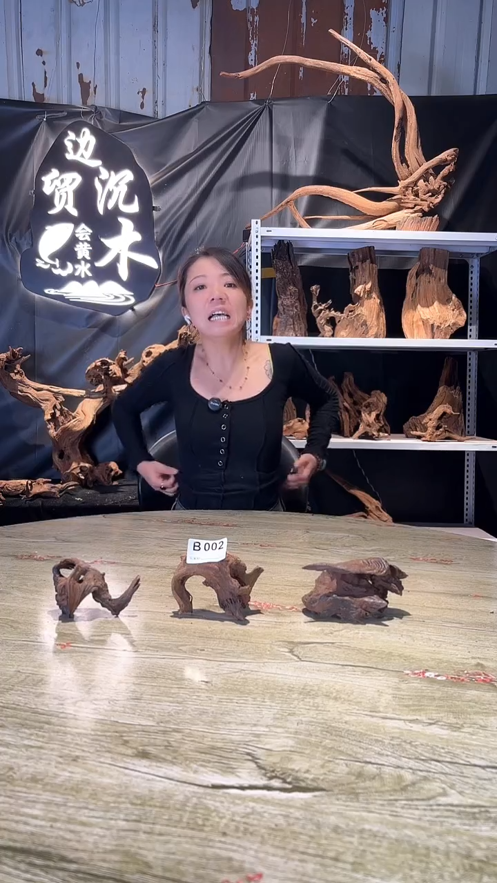 云南紫釉 秒沉 不需要煮 精磨发货