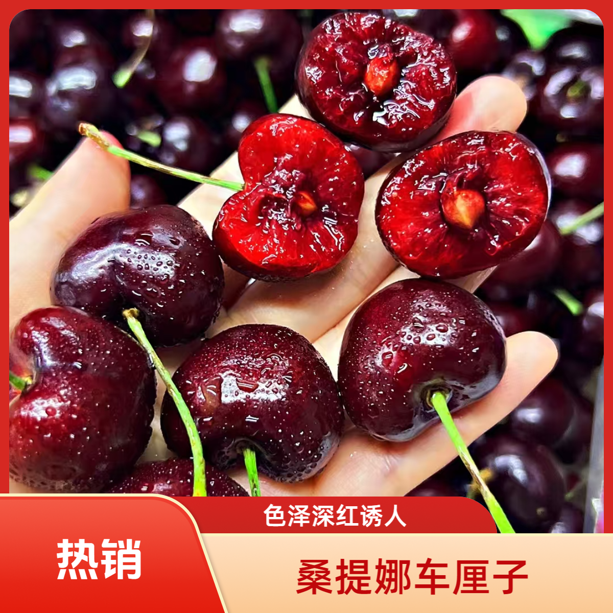 【空运进口智利桑提娜车厘子高端原箱礼盒】4JD深圳同城小时达华南城【1斤~2斤】XL内附果径卡桑提娜智利