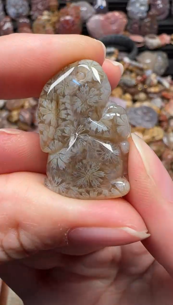 颈饰未镶嵌硅化珊瑚（珊瑚玉）639