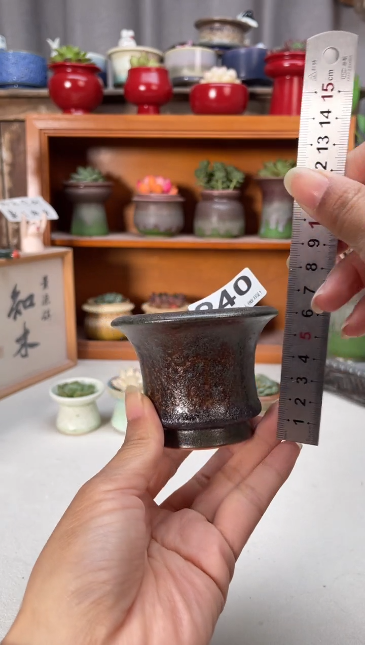 瓷片240知木小芳花盆