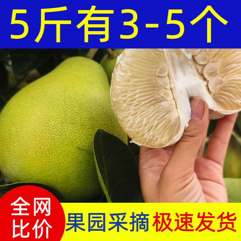 正宗江西安福蚕子金兰柚解渴老人小孩孕妇9分甜1分苦果园直发