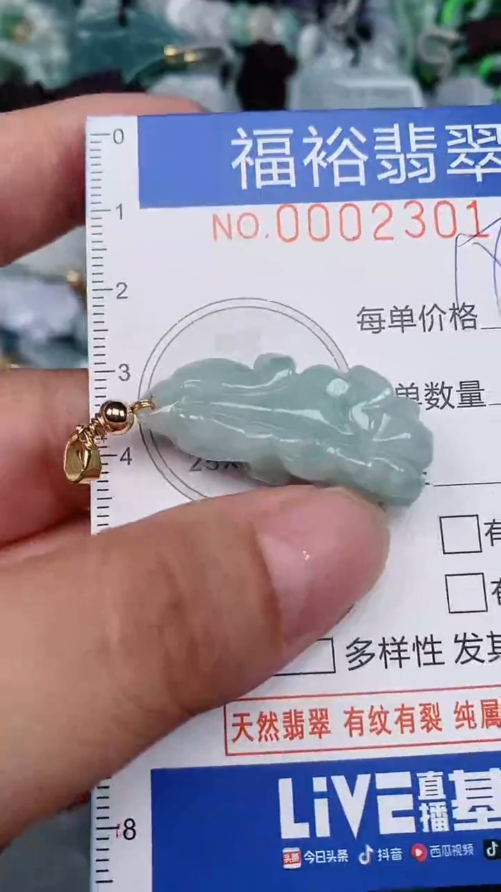 翡翠未镶嵌颈饰...0003001