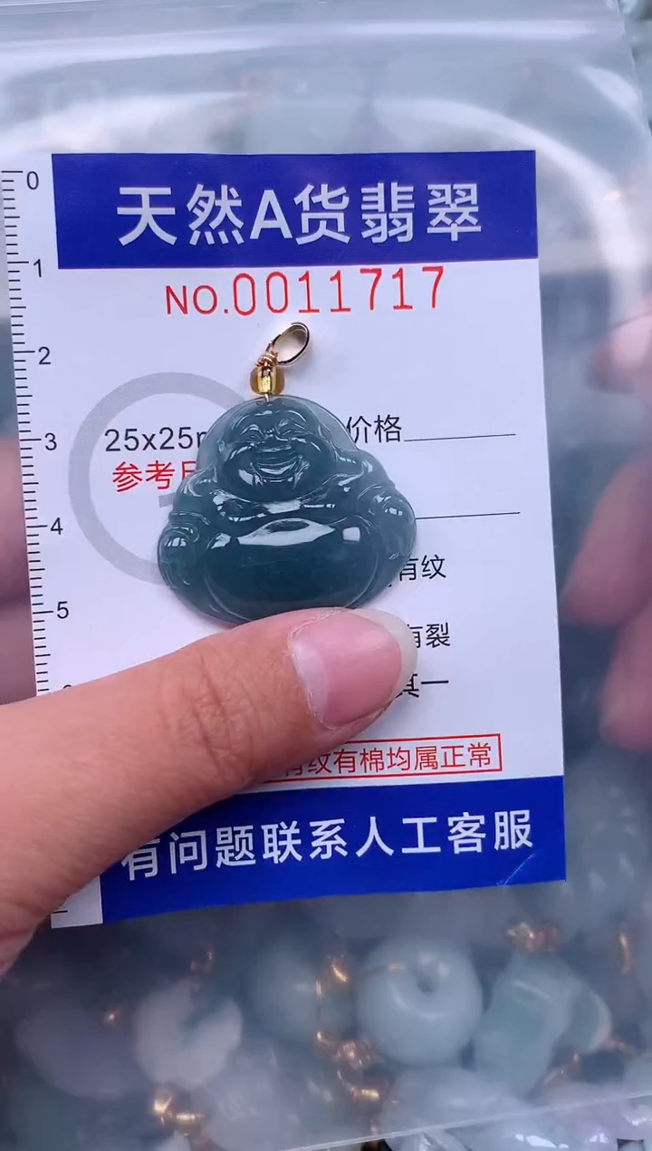 翡翠未镶嵌吊坠(赠链)11