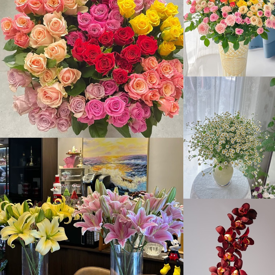 玫瑰泡泡百合组合(颜色不指定)云南基地直发 5度以下需要拍保温棉