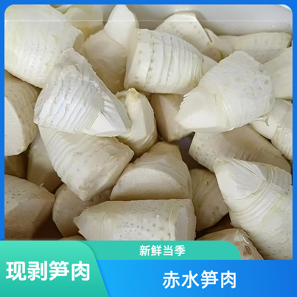 贵州赤水新鲜（冬笋肉）真空包装现挖当季蔬菜