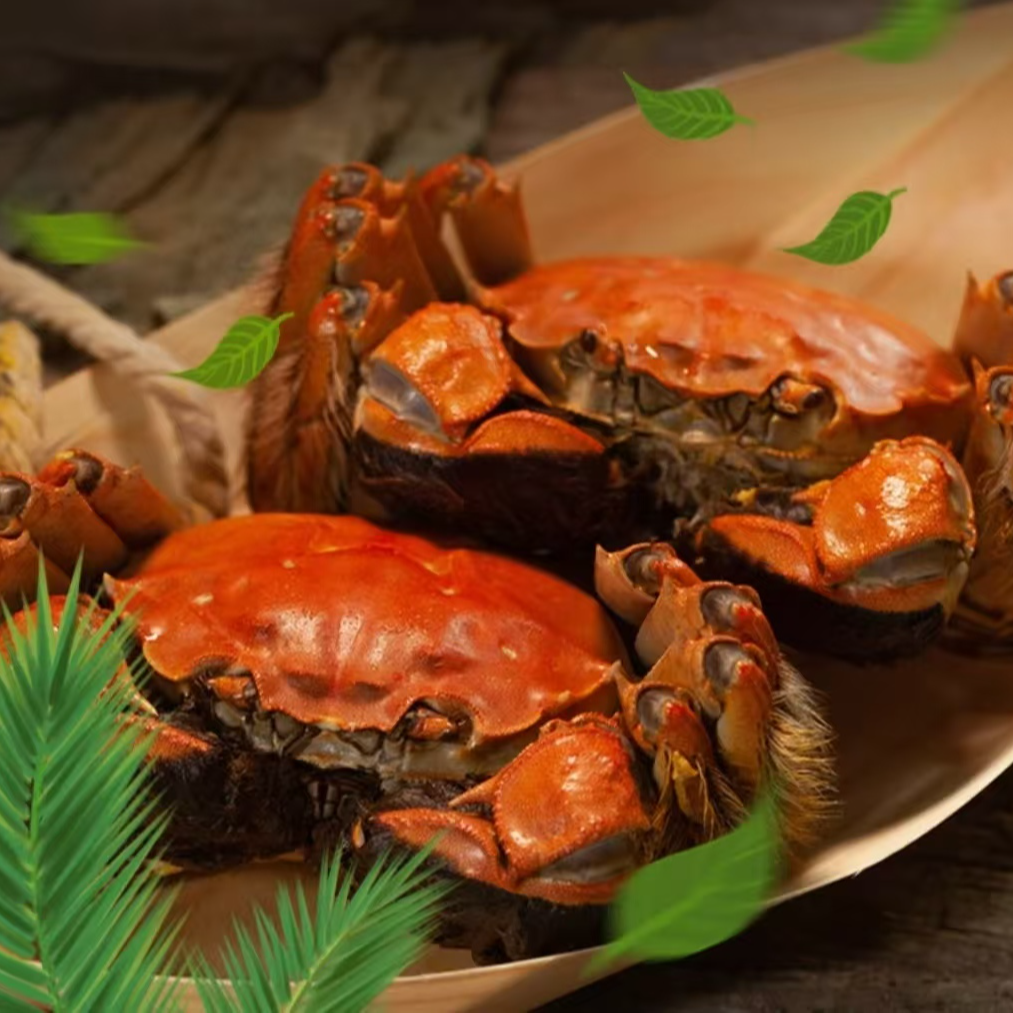 【活蟹】盘锦河蟹稻田蟹【纯母蟹1-1.3两】23只左右/2斤