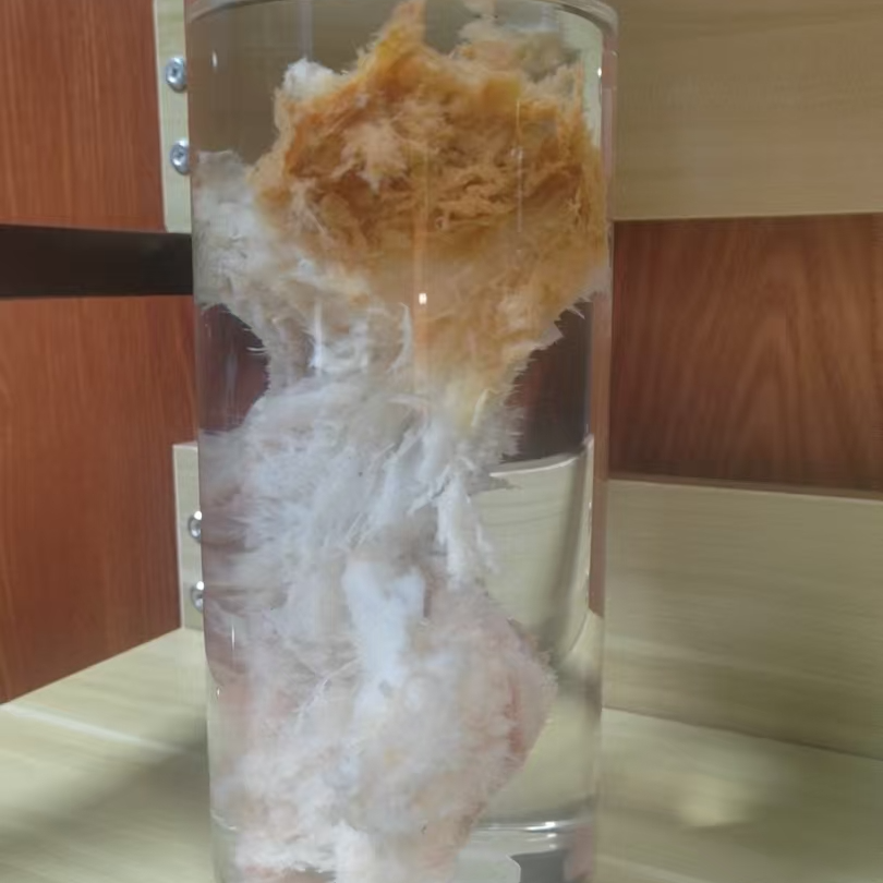 长白山石~太~岁陶瓷成人双面手工摆件石头学生便携茶杯水杯玻璃
