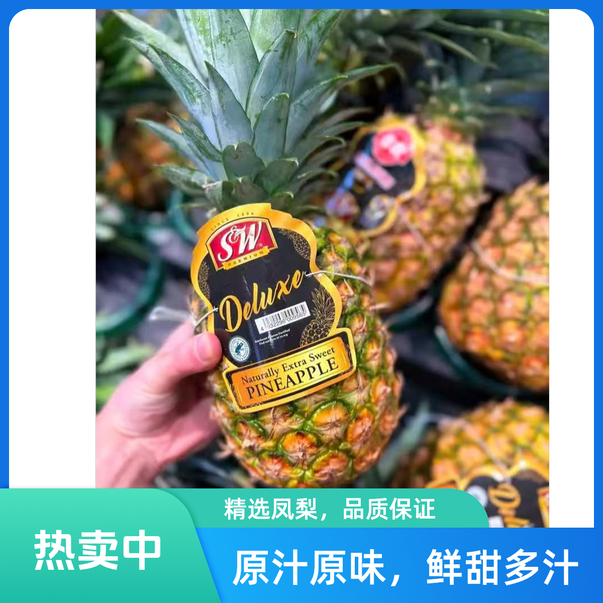 进口凤梨   约1400g   香甜多汁   无需泡盐水