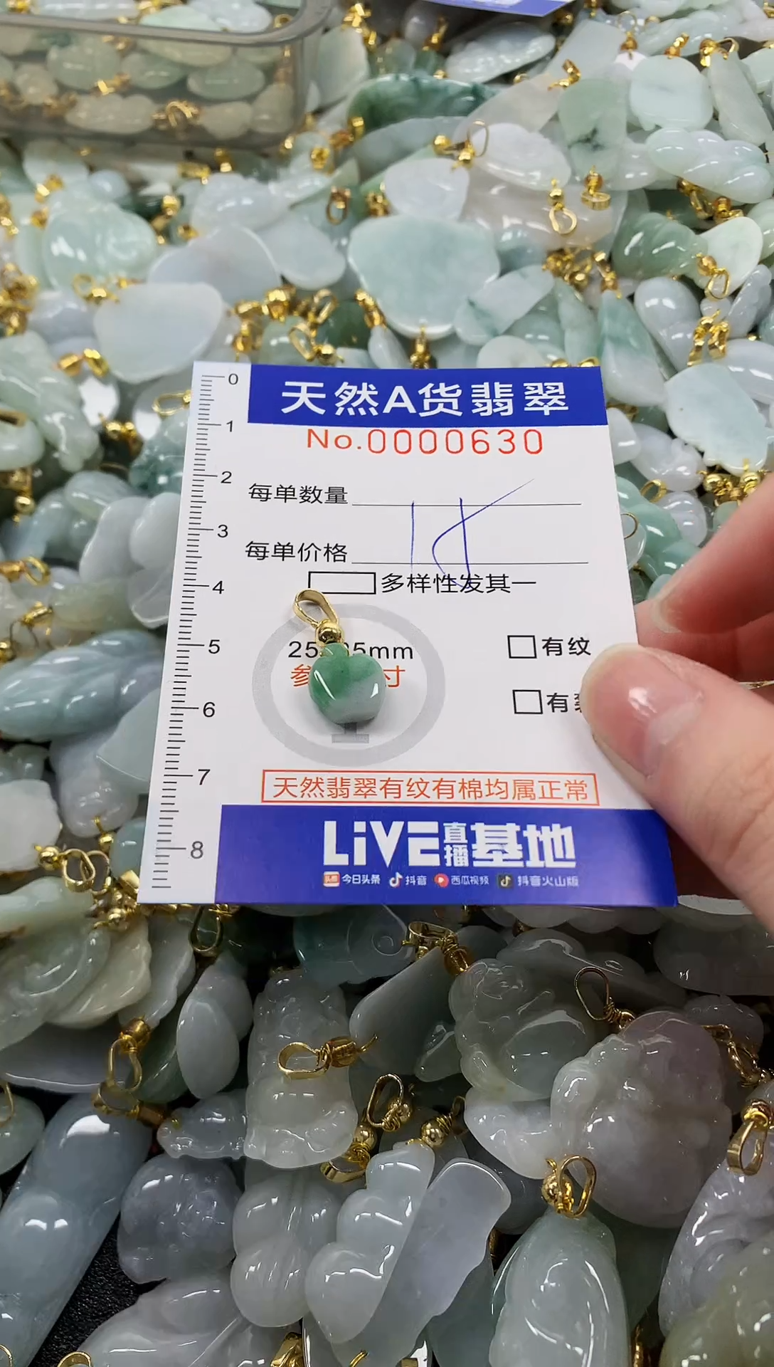 颈饰未镶嵌翡翠天然a货翡翠