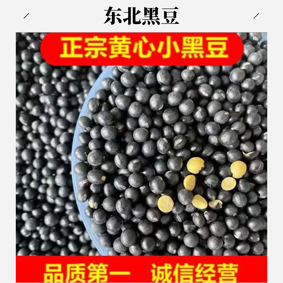 农家自种黄心小黑豆非转基因五谷杂粮煮粥打豆浆发豆芽专用豆1