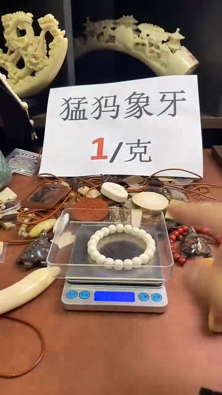 猛犸猛犸11*10老型单圈