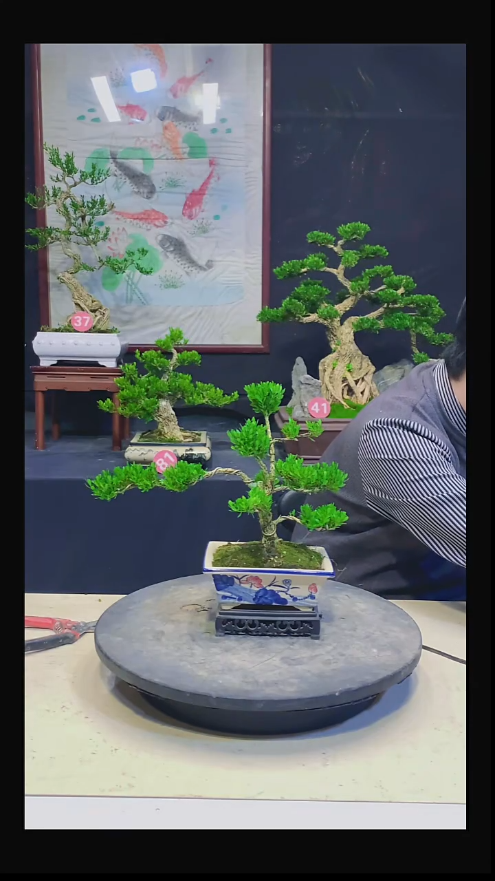 完全开放龚*祥11111111111