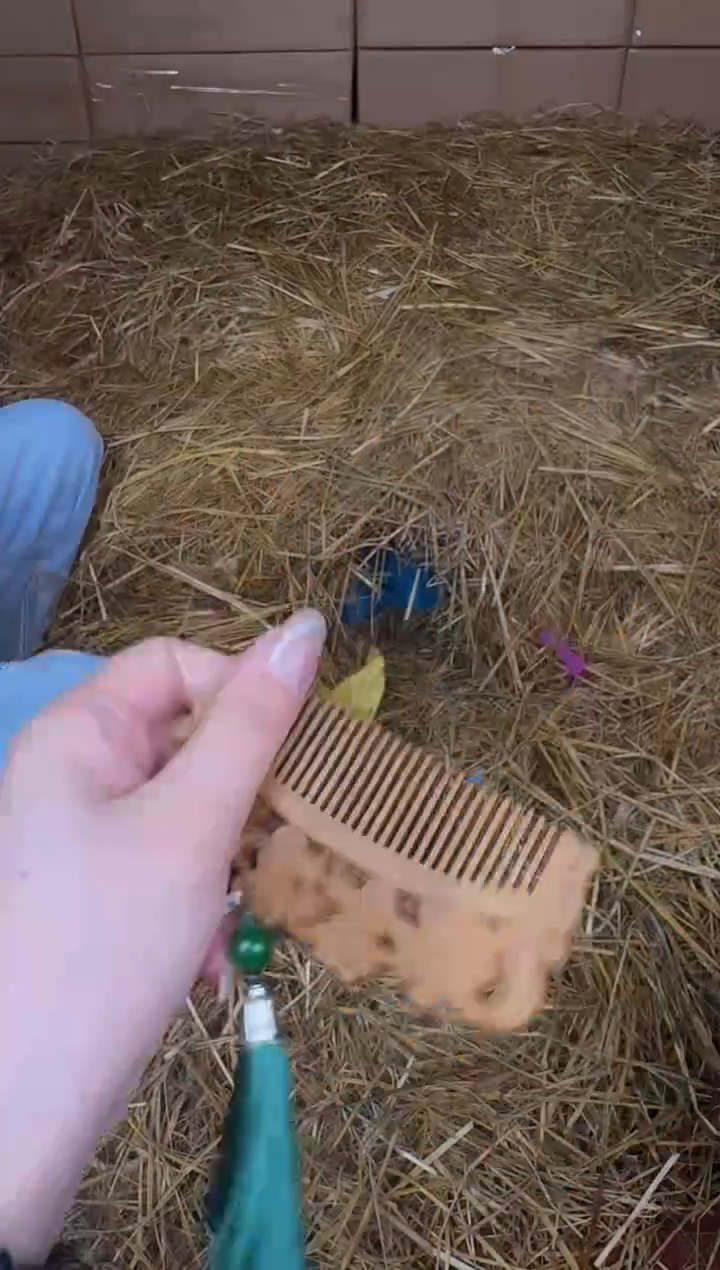 立秋甄选福利闪购商品无礼盒