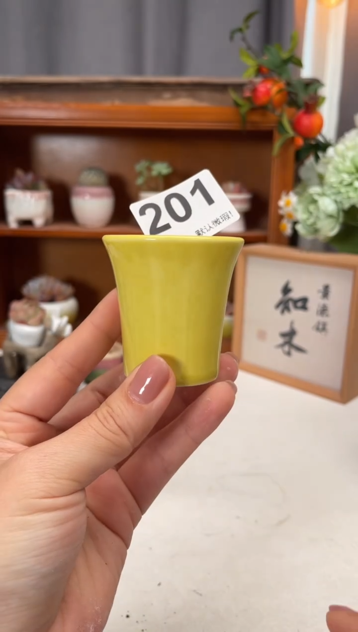 瓷片201知木小芳花盆