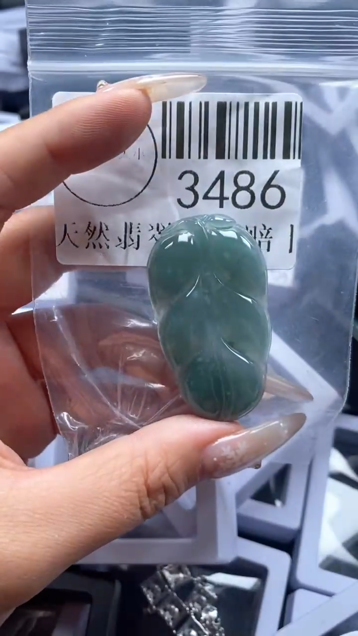 颈饰未镶嵌翡翠3486