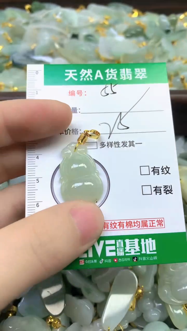 颈饰未镶嵌翡翠天然缅甸A货翡翠