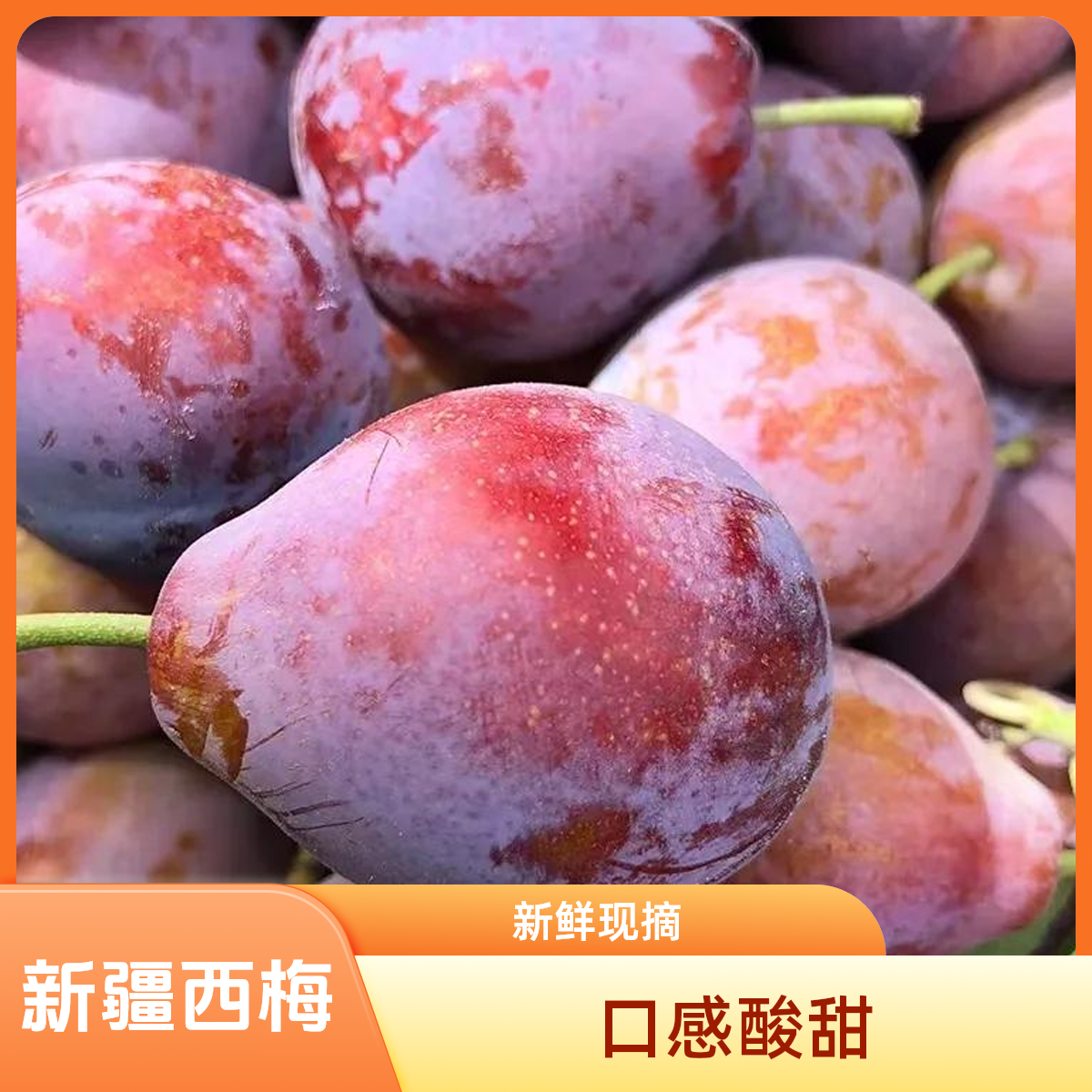 【京东次日达】新疆喀什法兰西西梅水果