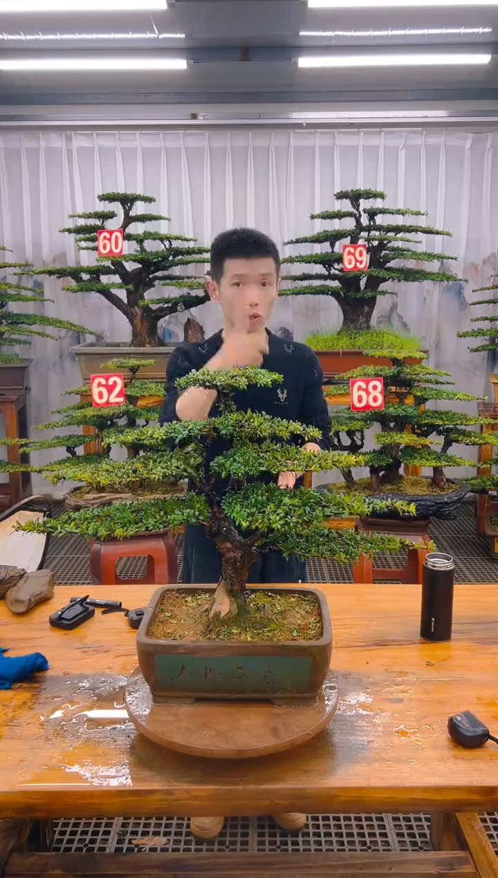 【闪购商品】紫砂精品盆景直播间一物一拍