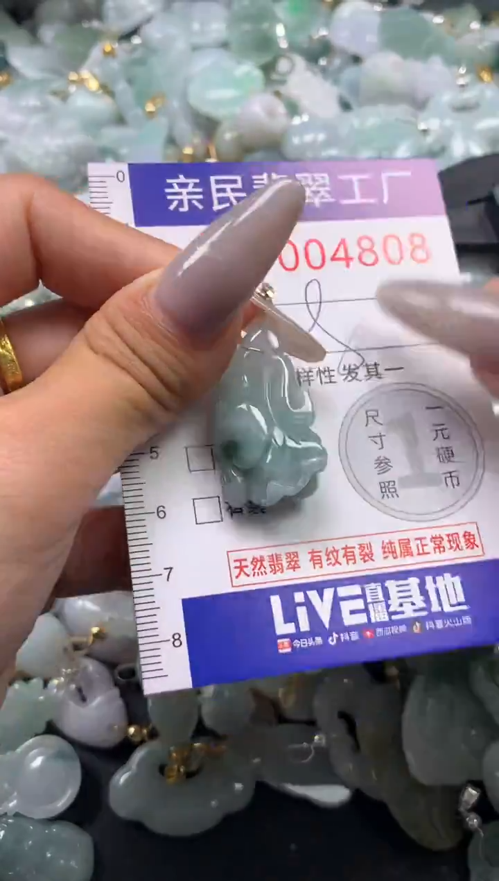 颈饰未镶嵌翡翠4808