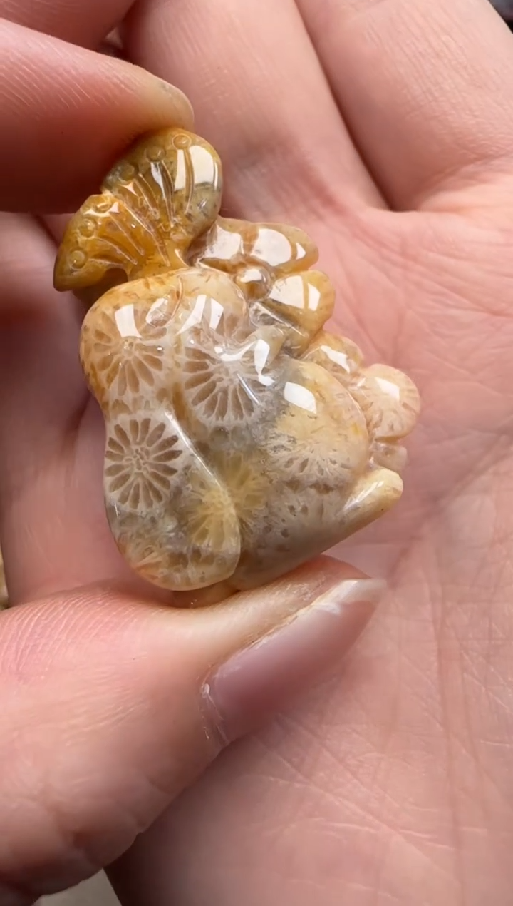 【闪购商品】硅化珊瑚（珊瑚玉）颈饰未镶嵌031