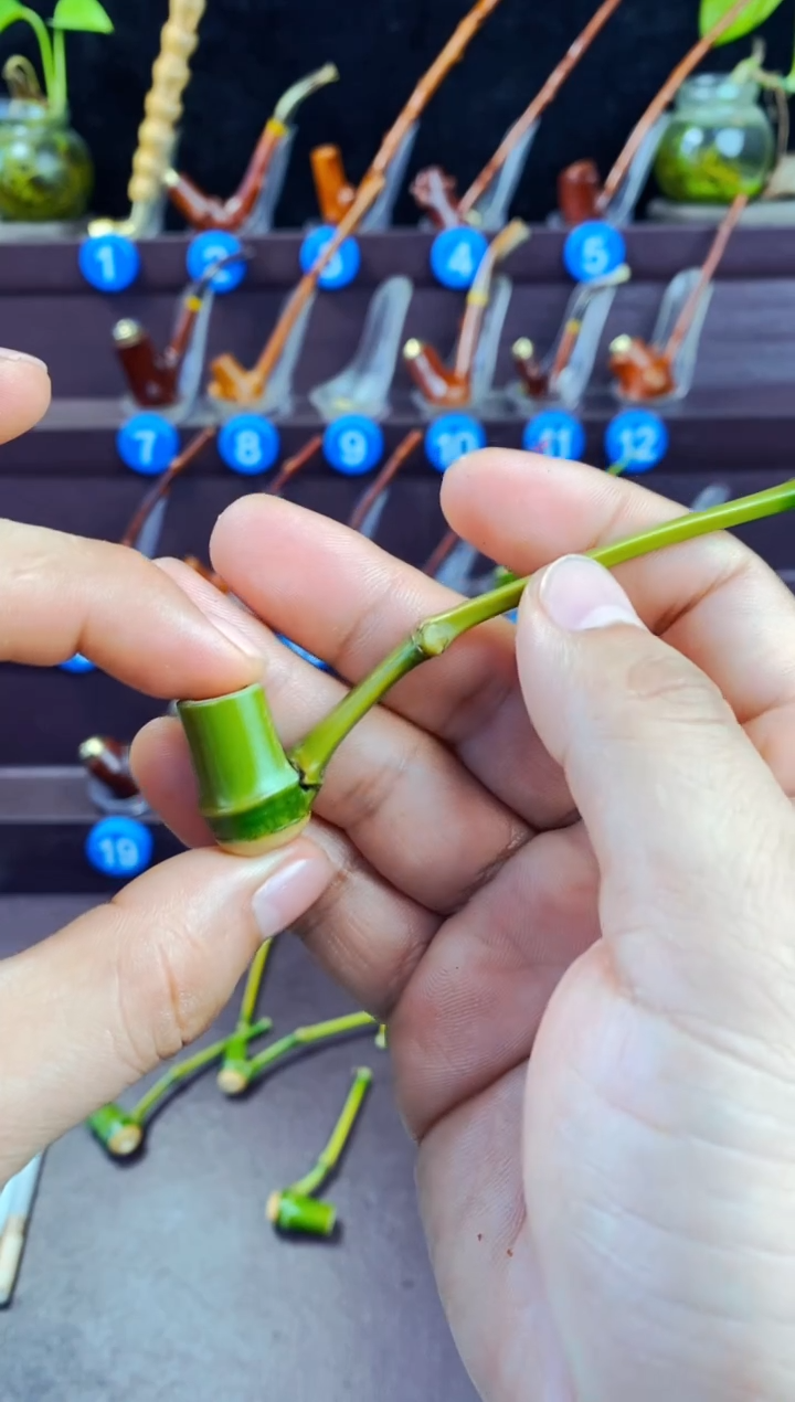 木今****。檬子木的精品小斗