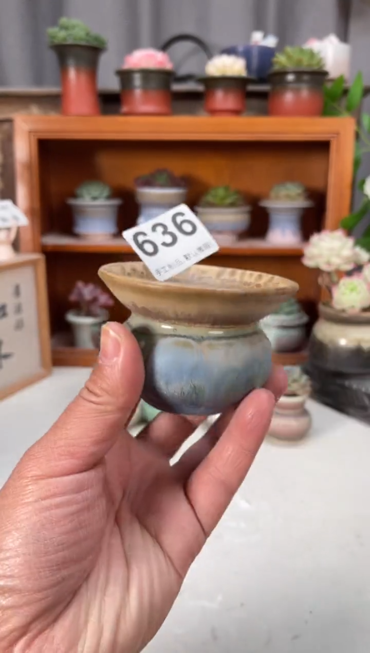 瓷片636小芳直播编号