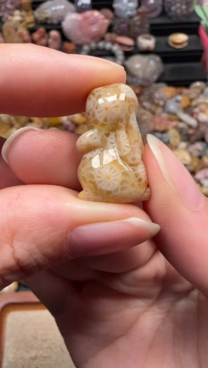 颈饰未镶嵌硅化珊瑚（珊瑚玉）684