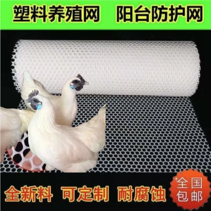 江山白蓝耳乌骨鸡大型养殖基地大型养殖场养殖专用网养殖防护网