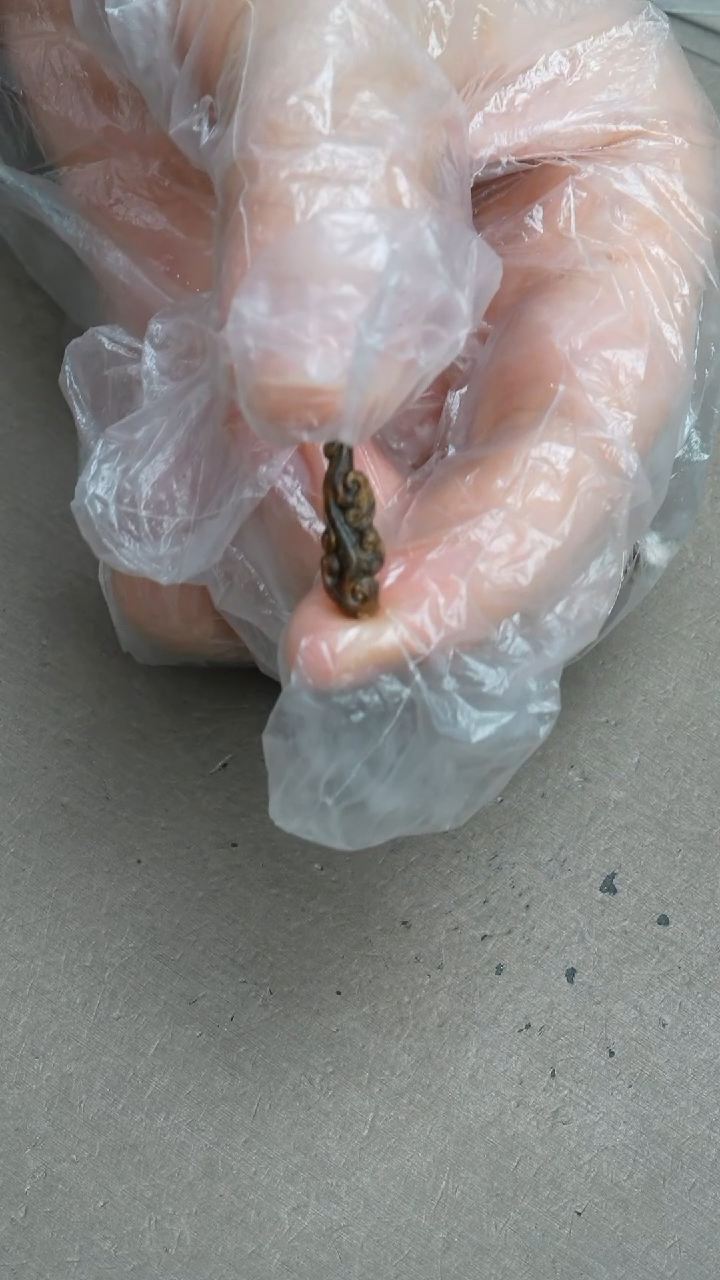 【闪购商品】沉香吊坠沉水越南芽庄白奇楠沉香0.26克雕刻挂件