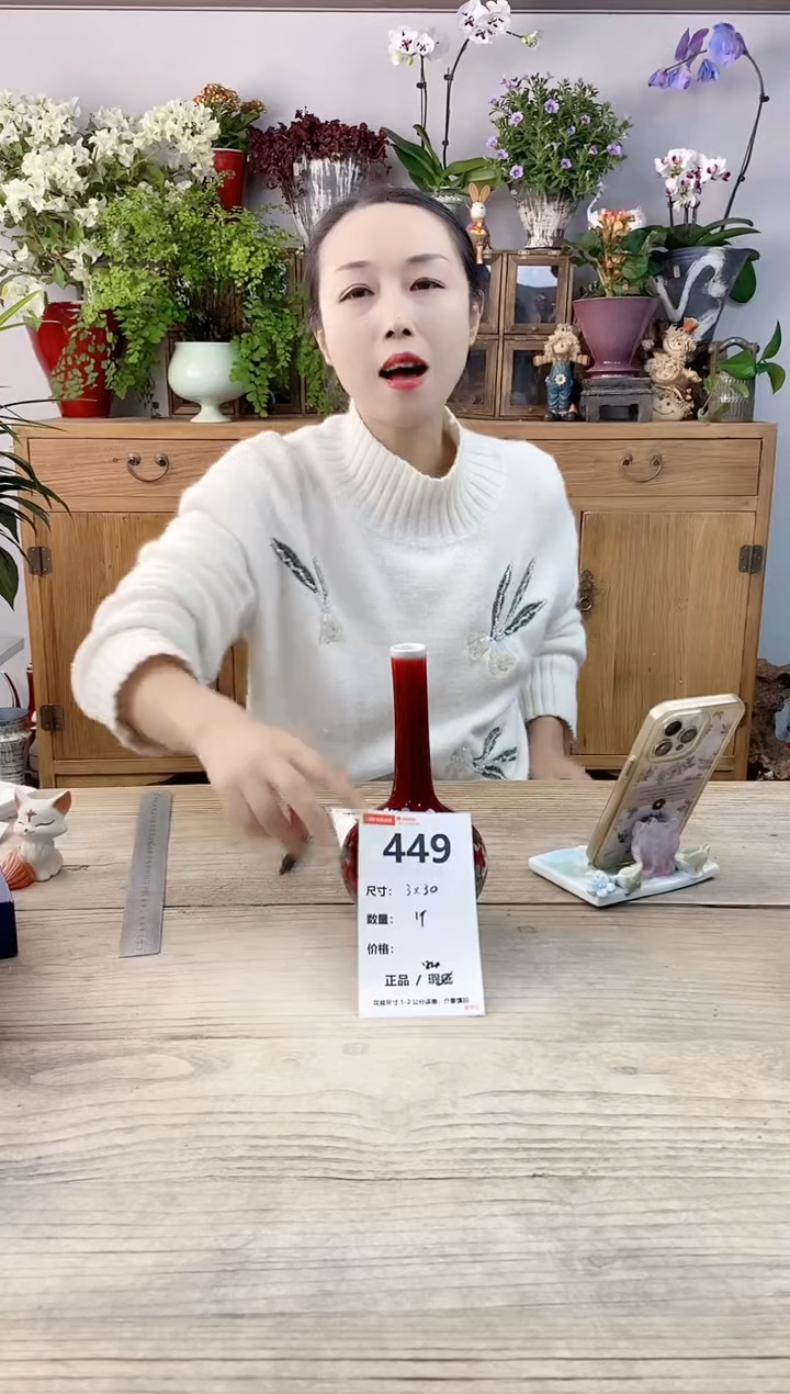 小玩子花盆直播编号449