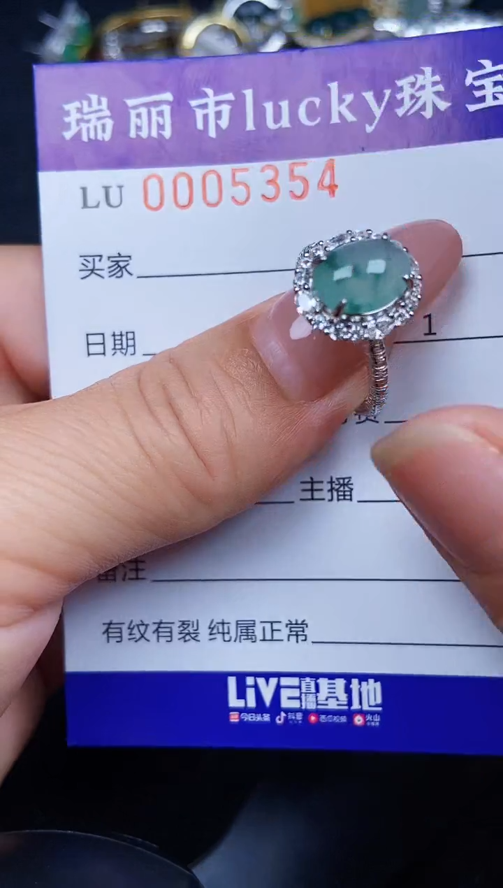 翡翠银S925镶嵌颈饰5354