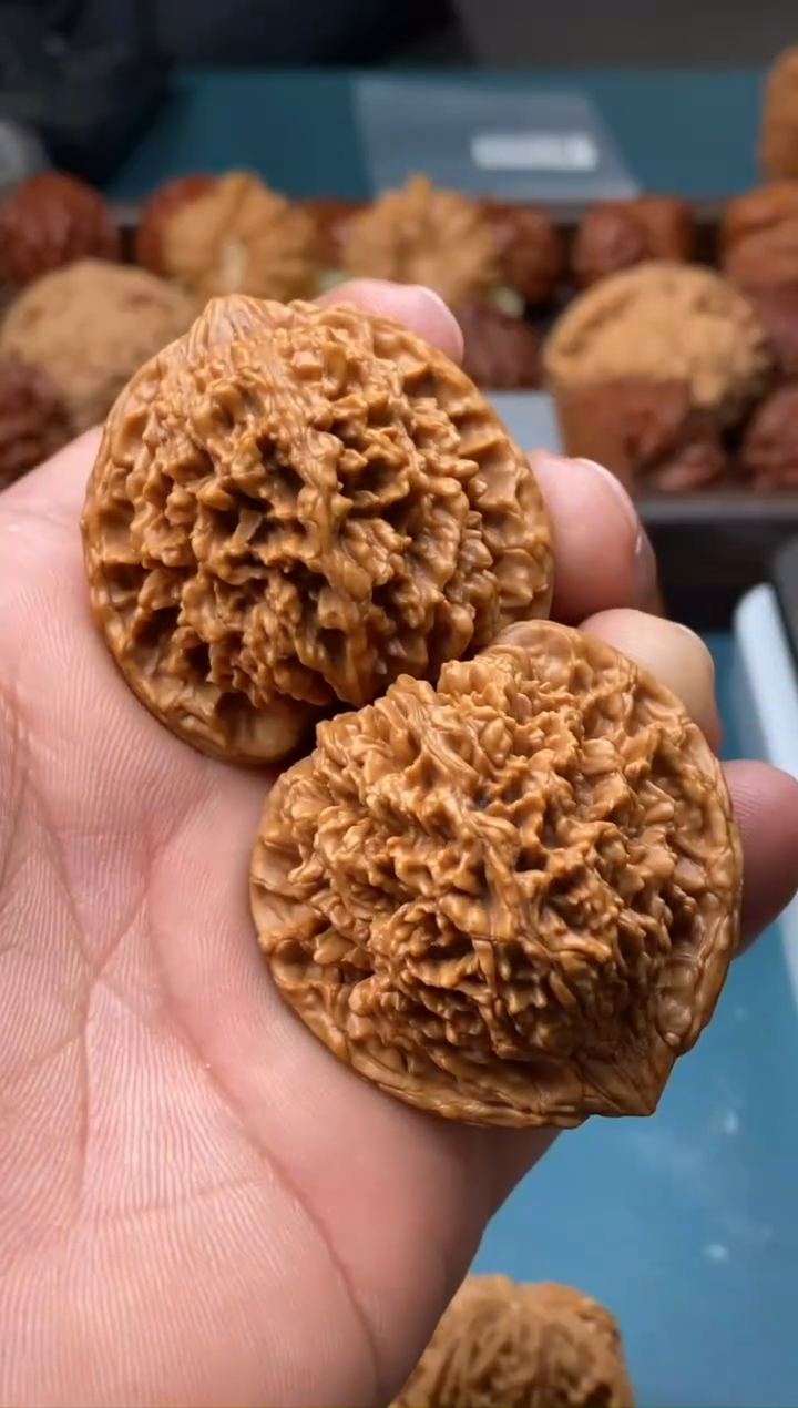 把件文玩核桃满天星b363