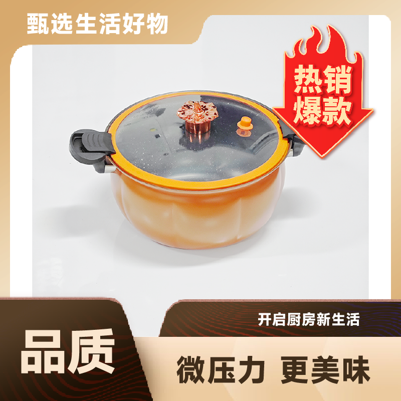 多功能料理锅料理锅蒸煮煮面小型电煮锅