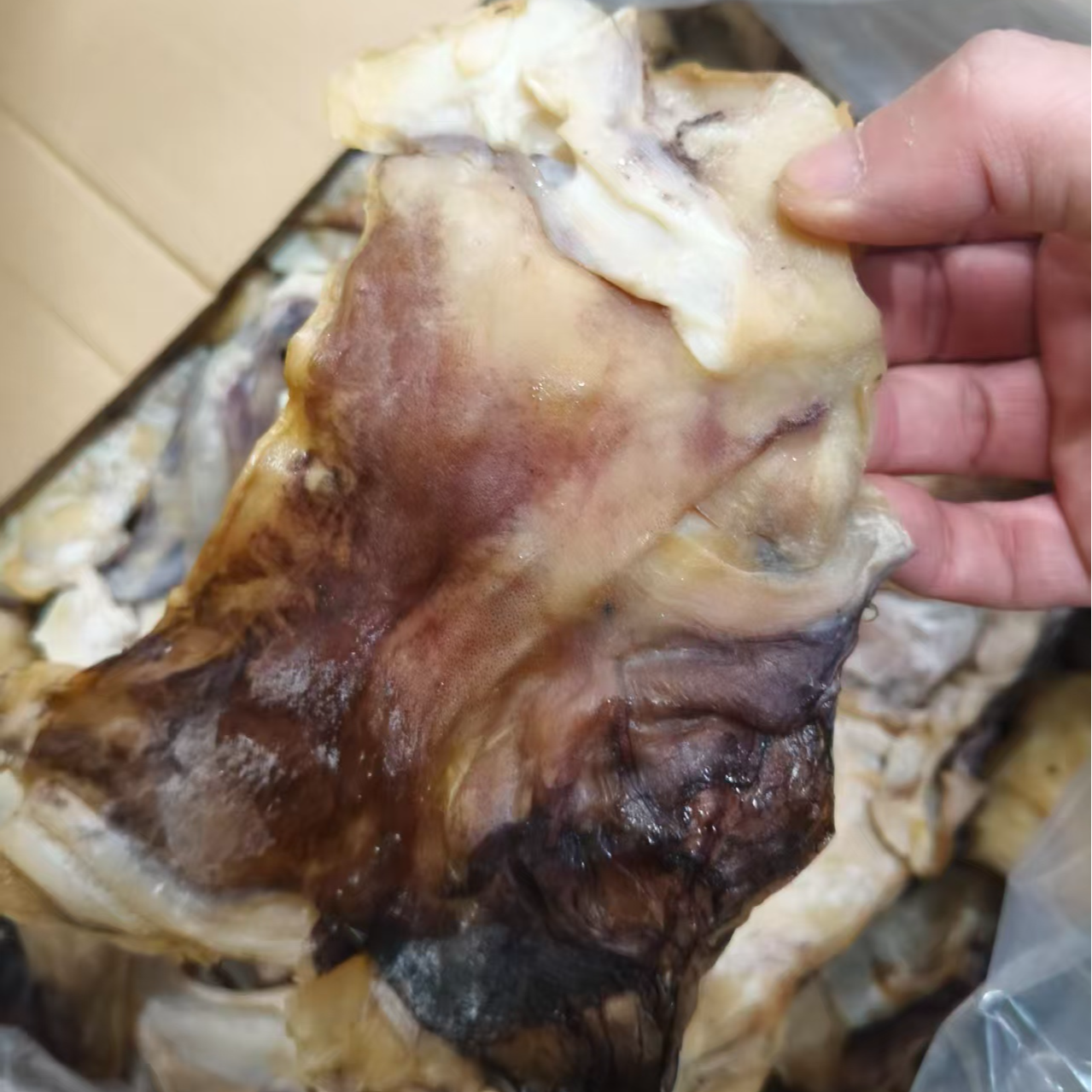 【海鲜铺子】咸的鱿鱼肉煲汤