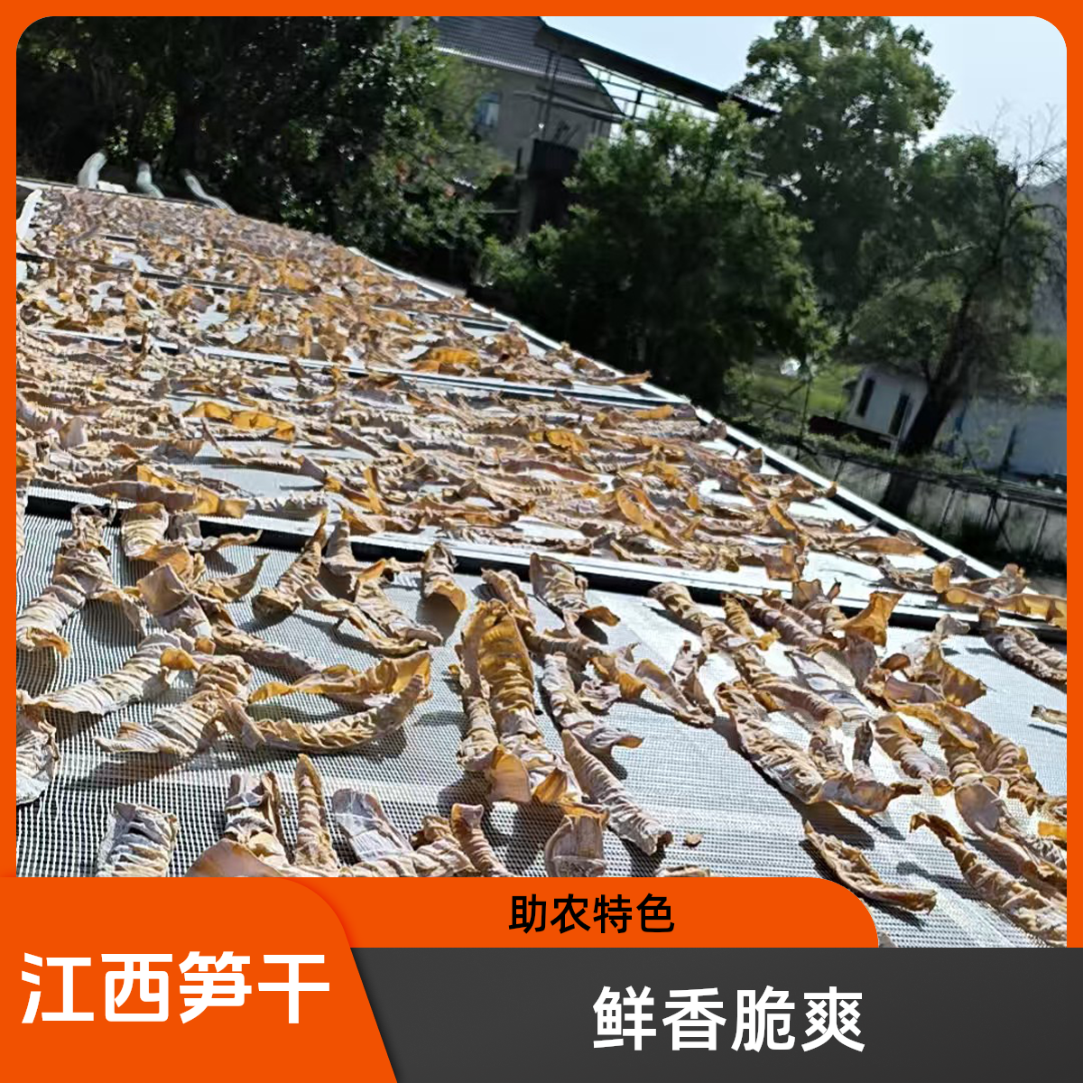 江西助农农家笋干