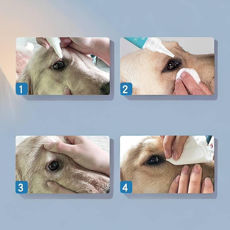 狗狗滴眼液泰迪比熊洁眼屎液洗眼水宠物用品博美泪痕去除神器