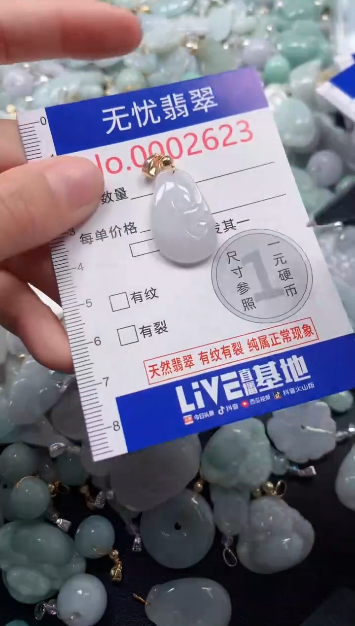 颈饰未镶嵌翡翠2623