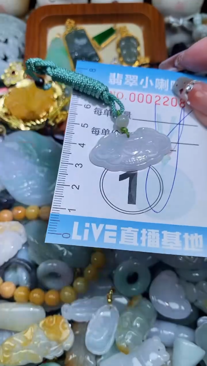 【闪购商品】翡翠颈饰未镶嵌闪购0002208