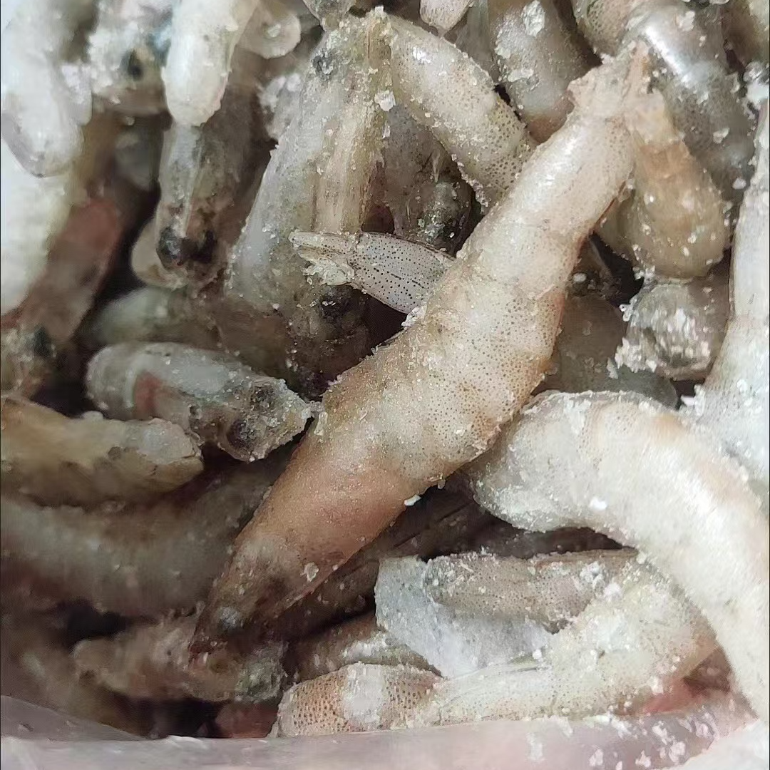 河虾  6斤装 全国包邮 高营养鱼粮鱼食