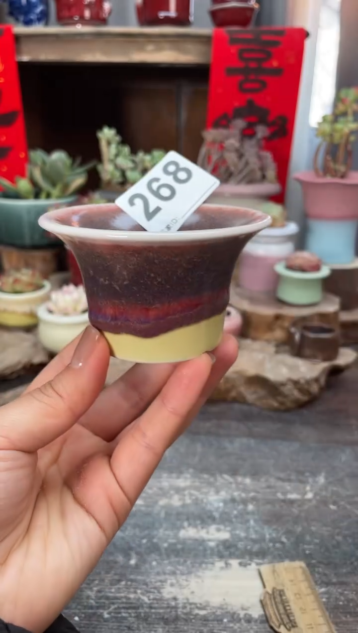 【闪购商品】摆件268知木小芳花盆