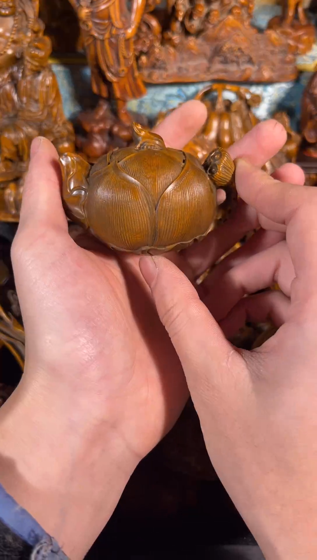 黄杨木111111111111