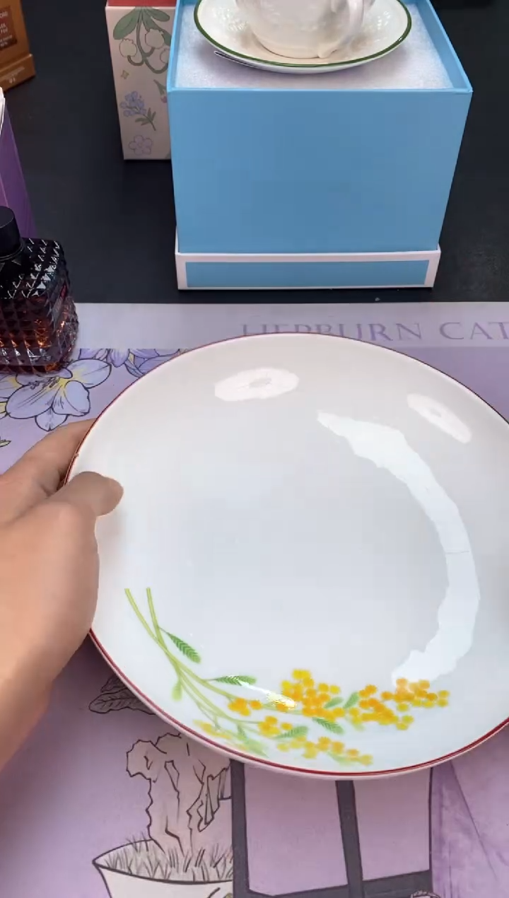 【闪购商品】瓷片都是我的大宝贝呀