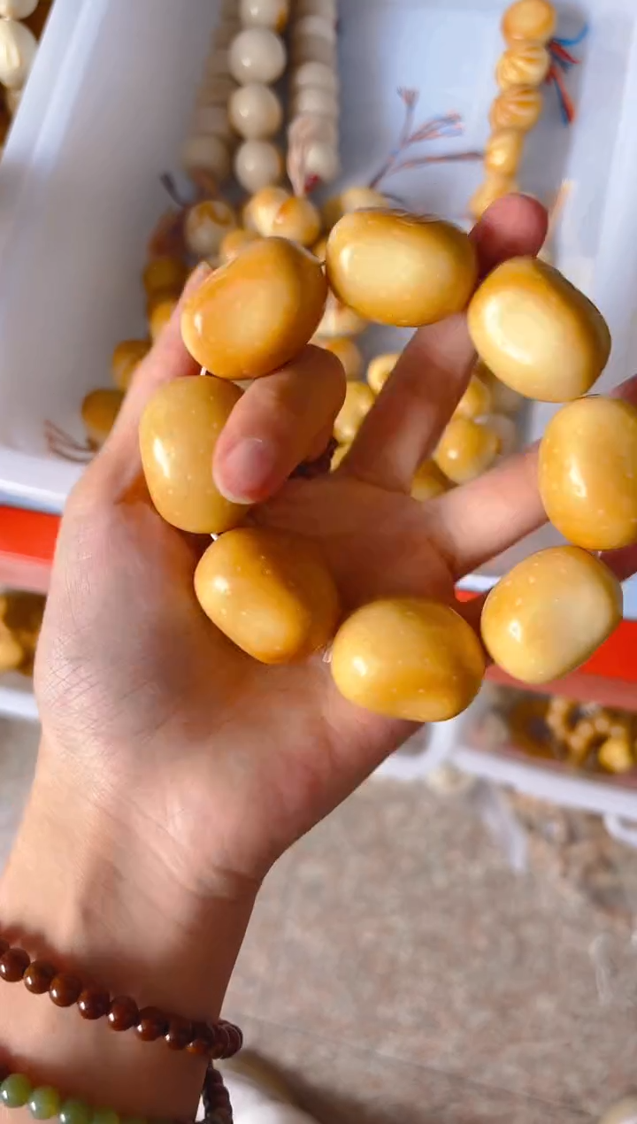 吊坠菩提根/象牙果大卡土豆单圈